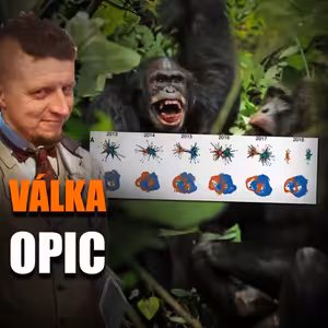 Velká šimpanzí válka poprvé detailně popsána | Vědátornews