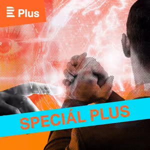 Společné vysílání Radiožurnálu a ČRo Plus k výsledkům voleb do Německého spolkového sněmu - Bundestagu