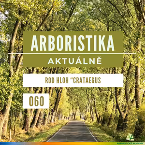 Rod hloh “Crataegus” - Arboristika aktuálně #060