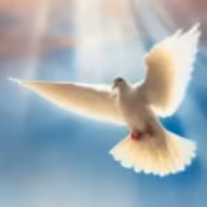 Dary Ducha Svätého v dnešných časoch - Robert Dick