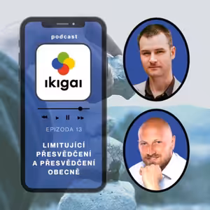 Limitující přesvědčení a přesvědčení obecně