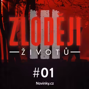 OHEŇ A LED: Nepochopitelná vražda kvůli flanelce. Umlátila bývalého učitele drobná seniorka?