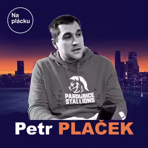 Petr Plaček: Asociace topí týmy v pokutách