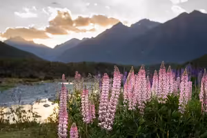 Kamil a Hanka: (Ne)tradiční práce na Novém Zélandu, těhotenství i přestavba dodávky