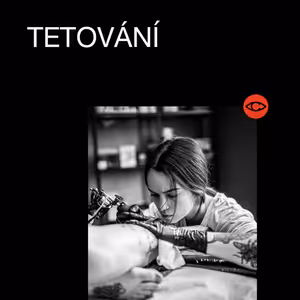 Nechci tetování aneb Příručka, jak nenasr*t tatéra