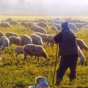 Prohlubujme poznání našeho dobrého pastýře Ježíše