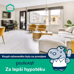 181. Koupě vybaveného bytu za účelem pronájmu