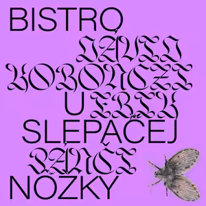 DAAVS // Dávid Koronczi: Bistro u slepačej nôžky