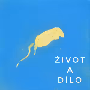 BÁRA NOVORODÁ: I hezky nafocený hovno dostane lajky, ale pořád je to hovno