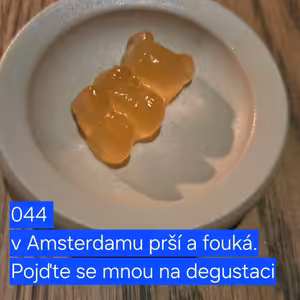 045 v Amsterdamu prší a fouká. Pojd'te se mnou na degustaci