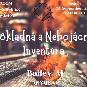 Dôkladná a nebojácna inventúra (Bailey M. NY USA)