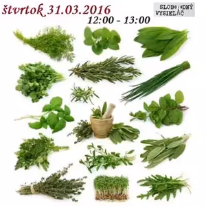 Motorové myši 66 - 2016-03-31 Bylinky a sadeničky