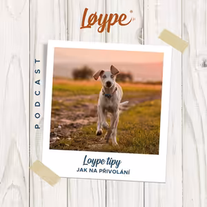 115 | Jak na přivolání | Loype tipy