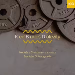 Keď Budeš Dôležitý - Branislav Schmogrovits