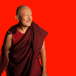 Toužíme opravdu po osvícení nebo jen po trochu větším klidu? (11. část) - Dzongsar Khyentse Rinpočhe