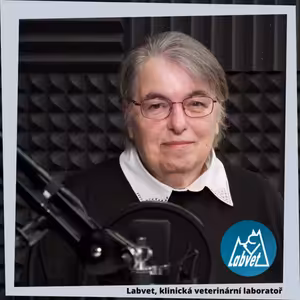 Roste vaše štěně do krásy