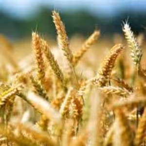 Všimněme si dnes Boží zázraky v našem životě