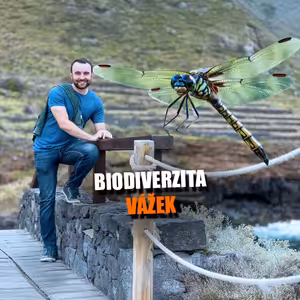 Jak měníme biodiverzitu a co nám říkají vážky? | #VNP se Stanislavem Ožanou z Ostravské univerzity