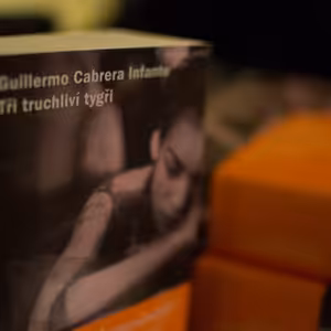 Tři truchliví tygři. Anežka Charvátová.