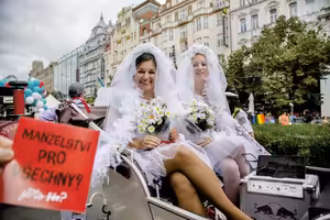 Manželství pro stejnopohlavní páry ustrnulo na mrtvém bodě. Důvodem je péče o děti
