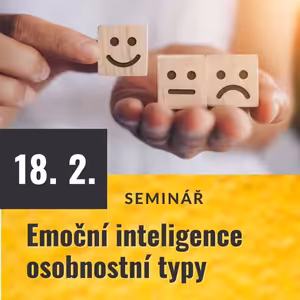 Emoční inteligence - osobnostní typy