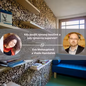 Kdy použít týmový koučink a kdy týmovou supervizi? #koucinkakademie