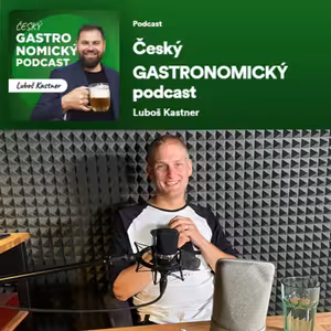 Josef Křížek, Alcron – Jsem pozvolna ambiciózní