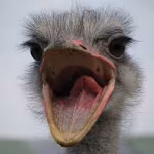 Prikazovať alebo diskutovať? O vedení ľudí v čase krízy.