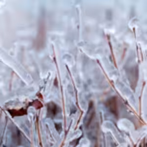 HOROSKOPY: Panny, Luna je ve vašem znamení. Láska vám dává křídla