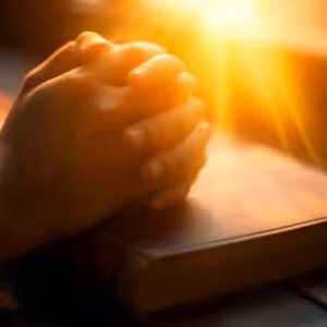 Zříkat se nečistých pohledů