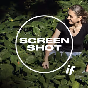 Monica Gagliano: Kde máš mozek? Rostliny určí budoucnost lidstva