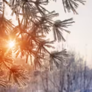 HOROSKOPY: Blíženci, v lásce vás čeká poměrně turbulentní období. Projeví se vaše touha po svobodě