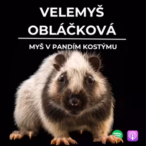 78: Myš v pandím kostýmu | Velemyš obláčková