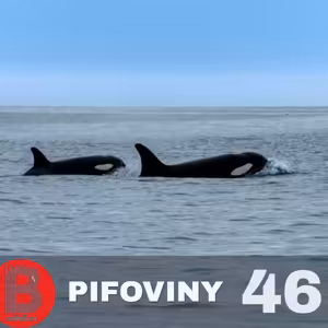 Pifoviny #46 - 7.6.2022