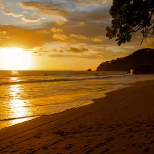 SHAVASANA - VEDENÁ RELAXACE - uvolnění těla a mysli