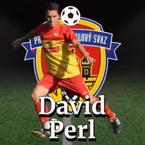 David Perl mluví o práci trenérů mládeže a hlavních pilířích výchovy malých fotbalist