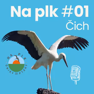 Na plk #01 : O ptačím čichu, čápech i showbyznysu