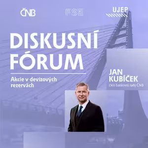 Kubíček, Rusinko: Akcie v devizových rezervách | Diskusní fórum ČNB na UJEP