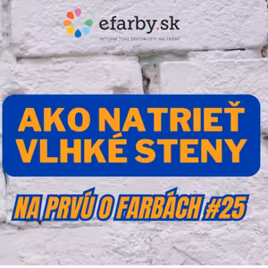 Ako natrieť vlhké steny? Zinsser Wattertite je farba na vlhké steny