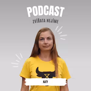 Katy: Co jsou to vigily (pietní akty před jatkami), v jakém stavu jsou zvířata v transportech smrti a jak na událost reagují zaměstnanci jatek.