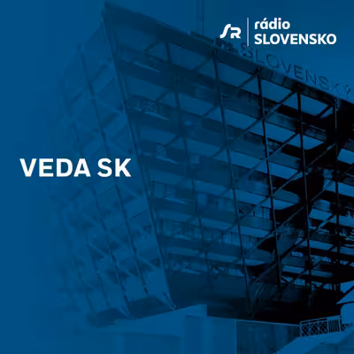 Veda SK