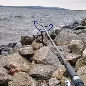 Vliv počasí na aktivitu ryb