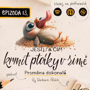 #13 Jestli a čím krmit ptáky v zimě a za co půjdete do pekla