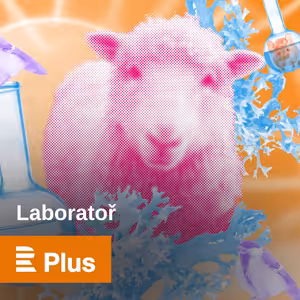 Laboratoř