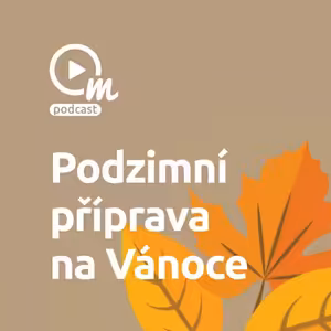 Špičkoví PPC specialisté na vánoční sezónu jsou už rozebráni