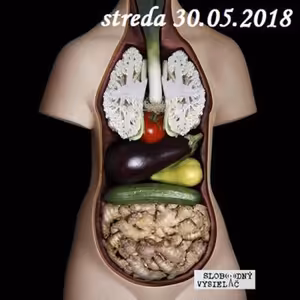 Verejné tajomstvá 202 - 2018-05-30 Zdravá strava 22/2018