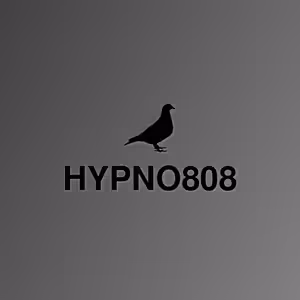 Hugo Toxxx - Hypnotic Bauch X JointeL RMX