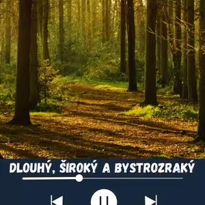Dlouhý, Široký a Bystrozraký Pohádka Audiokniha | AUDIENTIA Audiobooks