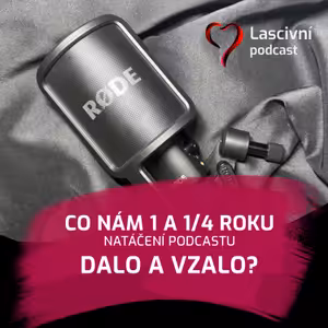 82. díl - Co nám rok a 1/4 natáčení podcastu vzalo a dalo? Plus bilance roku 2024