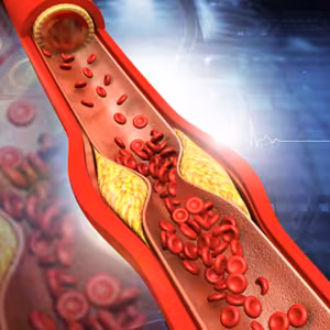 Hormóny #3 Cholesterol a jeho rozdielny objem, hmotnosť a Energia